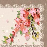 翡翠2022大多数美容名称名称