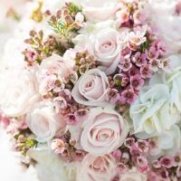 订婚择吉 2022年属狗人8月订婚好日子一览表