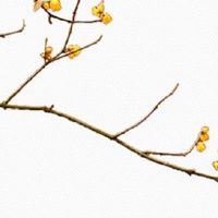 流年冲婚姻宫一定会离婚吗 八字合婚应如何进行