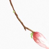 八字婚姻宫和夫妻宫怎么看 配偶宫如何看婚姻