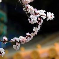 免费公司起名字大全免费 企业取顺口好名