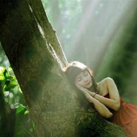 出生的注定是学习暴君的三大星座，准组织的百科全书