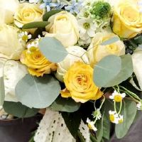 2022年8月属狗人结婚吉日查询 适合办酒席的好日子