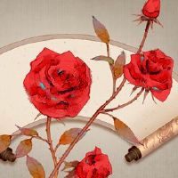 食物神有丰富而丰富的?