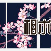 哪个男人不能嫁给鹰鼻子?