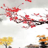 生辰八字算命几斤几两 几两命怎么算