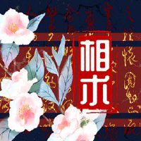 鱼尾巴样式妇女面对鱼尾巴纹理