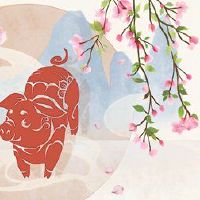 这是第27岁生日节日生日的特征。