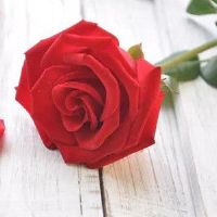 12个星座爱情概念，是它的结果吗？