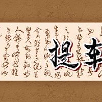 3投资组合最美丽的牌照号码吉祥