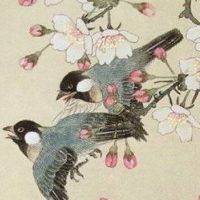 车牌号1开头的好吗 财源广进的车牌号码