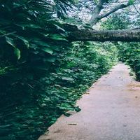 可爱的沙雕网名 一本正经的有病的网名