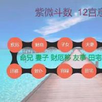 紫微斗数天干四化表:武曲化科