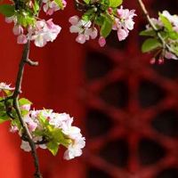 车牌号1和L和I怎么区分 机动车尾号编码须知