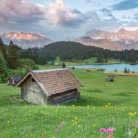 寻求桃子的最佳方式是什么?