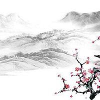 老来享福又长寿的痣 鼻头有痣的人晚年有福报