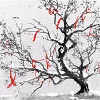 什么八字的女命是尤物 七杀命格伤官食神旺