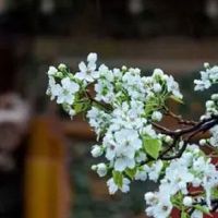 车牌开头1和尾数1 盘点车牌号码吉利招财