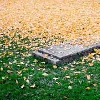 2022年龄十年五五5月24日是黄历？