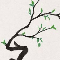 流年命宫入夫妻宫 紫微流年看正桃花情况