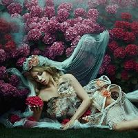 非凡的气质，最终的星座