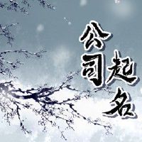 适合做商标名字 目标远大的公司名字