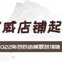 2022年包包店铺取名锦集