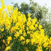 如何看到紫色收益的数量