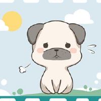 2023年狗运气的颜色是什么？