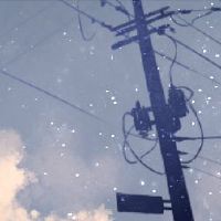 生活在生活中的人类的类别是什么?