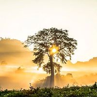 什么生活是最好的石榴?什么是石榴的王才珠宝?