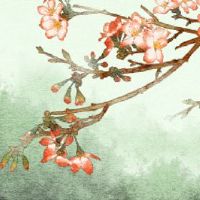 SI-柱八分寿命分析八字符模式分析的详细分析