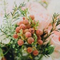 2022年八月最好的结婚日子 宜成亲良辰吉日