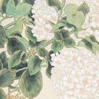 车牌号带L好不好 字母L的双重有利意义