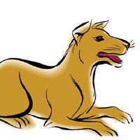 1994年，一只狗，女命，2022财年，28岁，小狗，女，2022，月财富