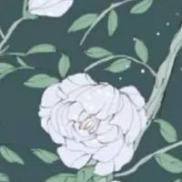 精品店店名大全集好记不俗气 招财店铺取名用字