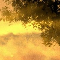 如何在大幸运年度检查众神