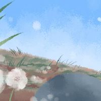 Ji日本询问2022的墓葬适合埋葬?