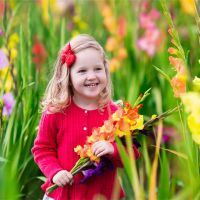 菀字取名配什么字