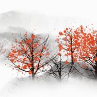 女人啥面相有福气 下巴丰满鼻子高挺衣食无虑