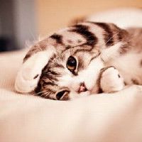 十二个总体谁是最尴尬的