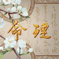 每日昏暗是一个非常昂贵的生活和生活。