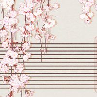 什么是十二生肖？