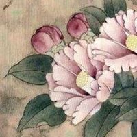 不小心车牌号选了个S 字母S带来官位升迁