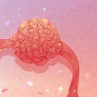 九吉龙2022年六月新年六月,最好的开放是最好的