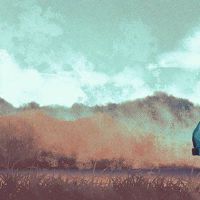 老黄色日历姬七月,7月202日,哪一天,公牛,公牛,是好的。