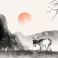 在2022年,小阳改变工作良好。