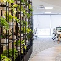 公司取名的几大秘诀