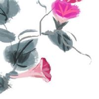 本命年最旺属虎的摆件办公室 办公室放天然宝石有好运