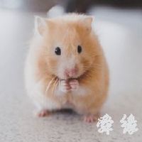 qq飞车名字女生可爱